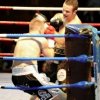 Boxe WBC - 6 Novembre 2010
